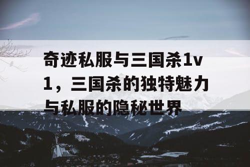 奇迹私服与三国杀1v1，三国杀的独特魅力与私服的隐秘世界