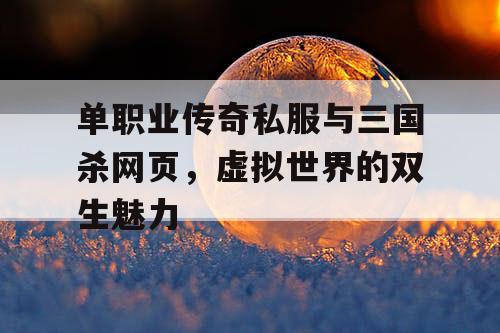单职业传奇私服与三国杀网页，虚拟世界的双生魅力