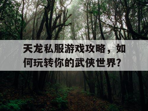 天龙私服游戏攻略，如何玩转你的武侠世界？