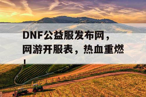 DNF公益服发布网，网游开服表，热血重燃！