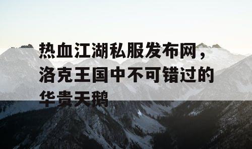 热血江湖私服发布网，洛克王国中不可错过的华贵天鹅