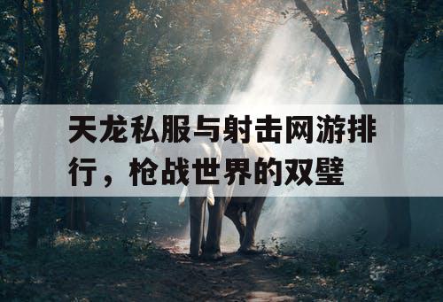 天龙私服与射击网游排行，枪战世界的双璧