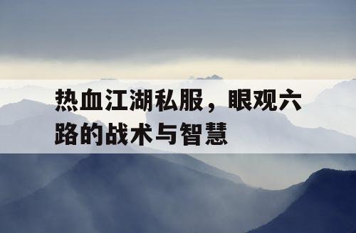 热血江湖私服,眼观六路的战术与智慧 热血江湖私服,眼观六路的战术与智慧