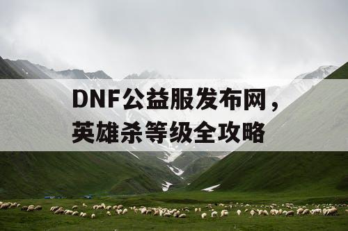 DNF公益服发布网，英雄杀等级全攻略