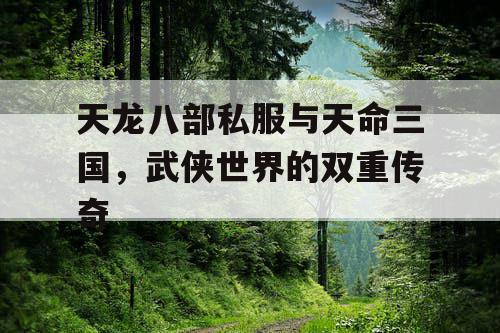 天龙八部私服与天命三国，武侠世界的双重传奇