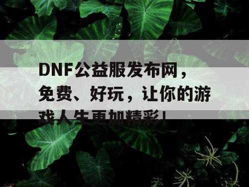 DNF公益服发布网，免费、好玩，让你的游戏人生更加精彩！