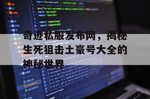 奇迹私服发布网，揭秘生死狙击土豪号大全的神秘世界
