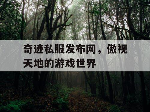 奇迹私服发布网,傲视天地的游戏世界 奇迹私服发布网,傲视天地的游戏世界