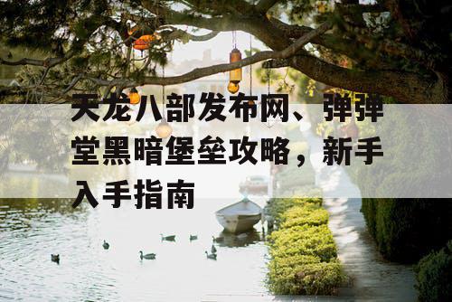 天龙八部发布网、弹弹堂黑暗堡垒攻略，新手入手指南