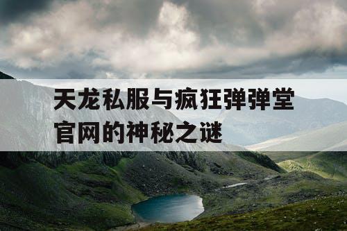 天龙私服与疯狂弹弹堂官网的神秘之谜