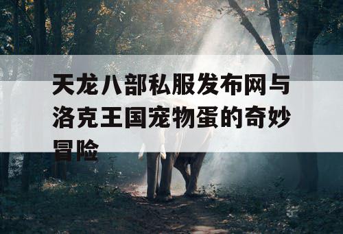 天龙八部私服发布网与洛克王国宠物蛋的奇妙冒险