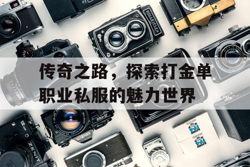 传奇之路，探索打金单职业私服的魅力世界