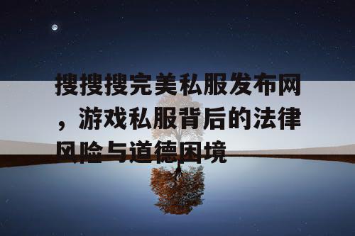 搜搜搜完美私服发布网，游戏私服背后的法律风险与道德困境