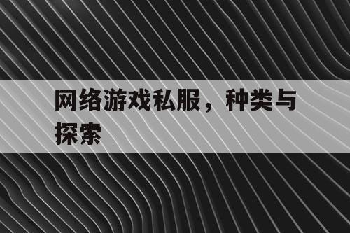 网络游戏私服,种类与探索 网络游戏私服,种类与探索