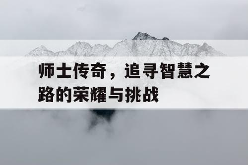师士传奇，追寻智慧之路的荣耀与挑战