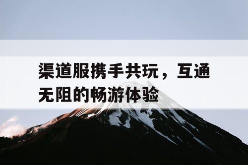 渠道服携手共玩,互通无阻的畅游体验 渠道服携手共玩,互通无阻的畅游体验