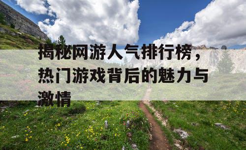 揭秘网游人气排行榜，热门游戏背后的魅力与激情