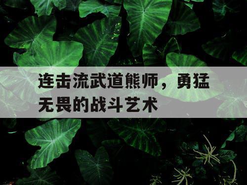 连击流武道熊师,勇猛无畏的战斗艺术 连击流武道熊师,勇猛无畏的战斗艺术