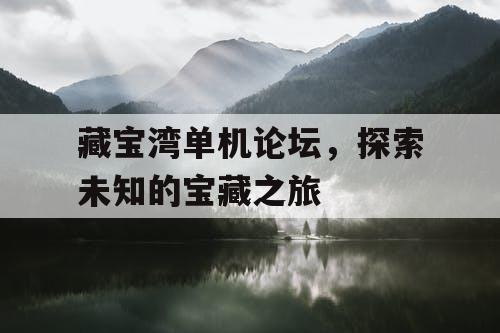 藏宝湾单机论坛，探索未知的宝藏之旅