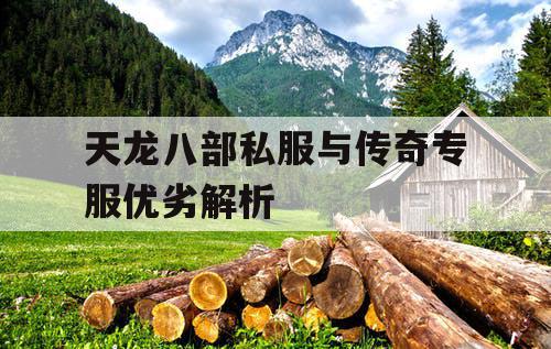 天龙八部私服与传奇专服优劣解析