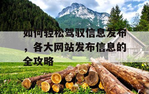 如何轻松驾驭信息发布，各大网站发布信息的全攻略