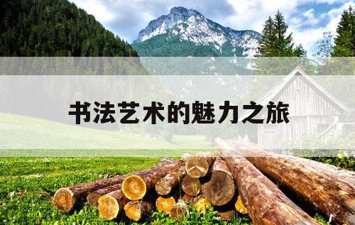 书法艺术的魅力之旅