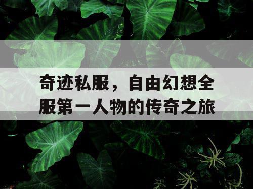 奇迹私服,自由幻想全服第一人物的传奇之旅 奇迹私服,自由幻想全服第一人物的传奇之旅