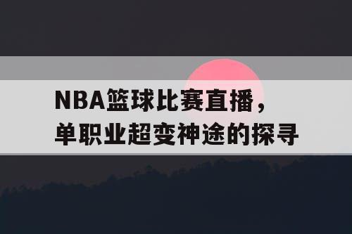 NBA篮球比赛直播,单职业超变神途的探寻 NBA篮球比赛直播,单职业超变神途的探寻