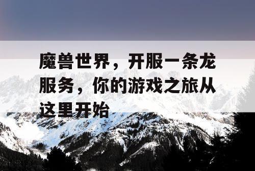 魔兽世界，开服一条龙服务，你的游戏之旅从这里开始