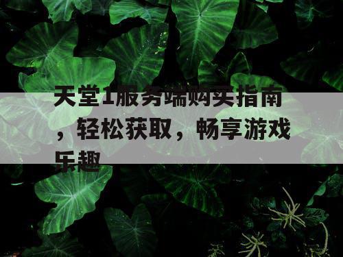 天堂1服务端购买指南，轻松获取，畅享游戏乐趣