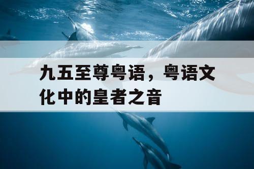 九五至尊粤语,粤语文化中的皇者之音 九五至尊粤语,粤语文化中的皇者之音