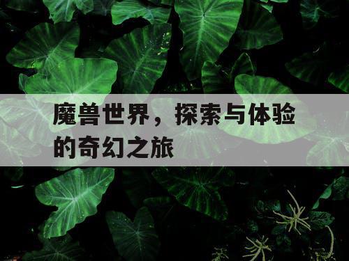 魔兽世界，探索与体验的奇幻之旅
