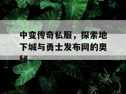 中变传奇私服，探索地下城与勇士发布网的奥秘