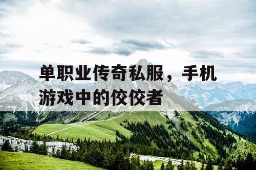 单职业传奇私服,手机游戏中的佼佼者 单职业传奇私服,手机游戏中的佼佼者