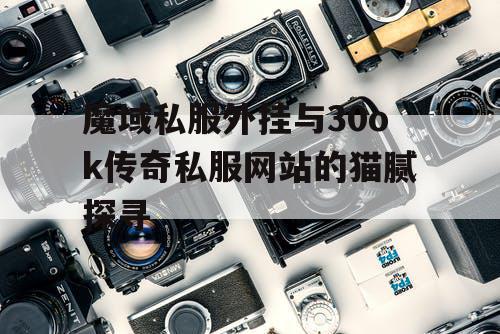 魔域私服外挂与30ok传奇私服网站的猫腻探寻 魔域私服外挂与30ok传奇私服网站的猫腻探寻