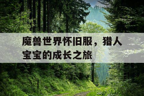 魔兽世界怀旧服,猎人宝宝的成长之旅 魔兽世界怀旧服,猎人宝宝的成长之旅