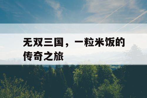 无双三国,一粒米饭的传奇之旅 无双三国,一粒米饭的传奇之旅