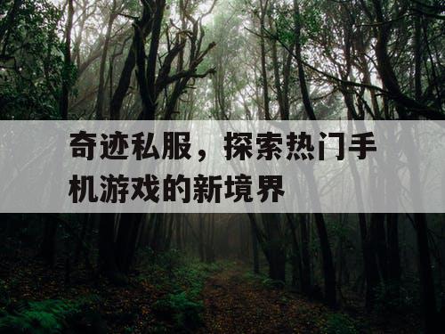 奇迹私服,探索热门手机游戏的新境界 奇迹私服,探索热门手机游戏的新境界