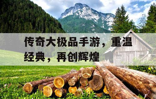 传奇大极品手游,重温经典,再创辉煌 传奇大极品手游,重温经典,再创辉煌
