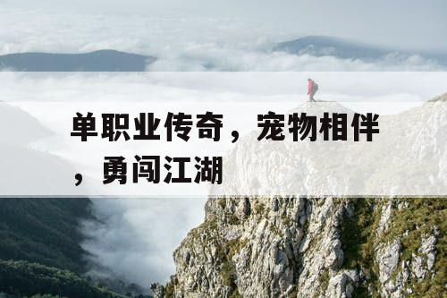 单职业传奇,宠物相伴,勇闯江湖 单职业传奇,宠物相伴,勇闯江湖