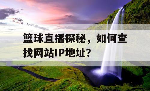 篮球直播探秘，如何查找网站IP地址？
