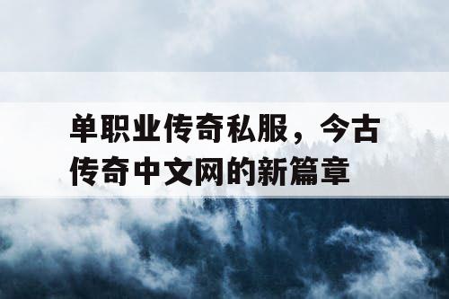单职业传奇私服,今古传奇中文网的新篇章 单职业传奇私服,今古传奇中文网的新篇章