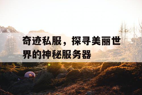 奇迹私服,探寻美丽世界的神秘服务器 奇迹私服,探寻美丽世界的神秘服务器
