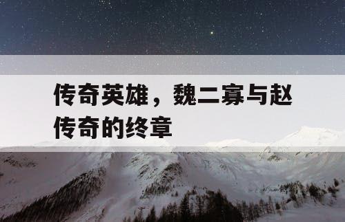 传奇英雄,魏二寡与赵传奇的终章 传奇英雄,魏二寡与赵传奇的终章