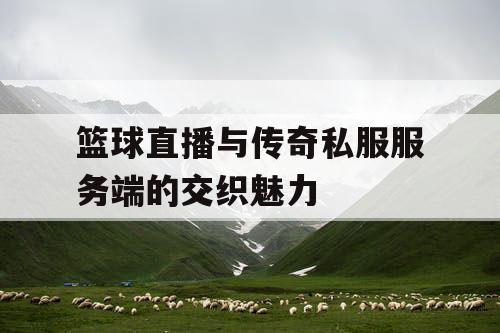 篮球直播与传奇私服服务端的交织魅力