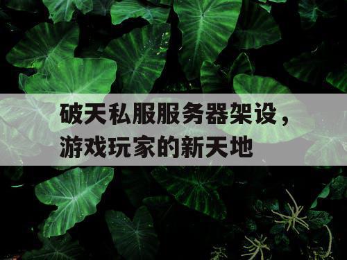 破天私服服务器架设,游戏玩家的新天地 破天私服服务器架设,游戏玩家的新天地