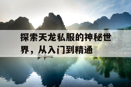 探索天龙私服的神秘世界,从入门到精通 探索天龙私服的神秘世界,从入门到精通