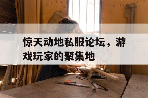 惊天动地私服论坛,游戏玩家的聚集地 惊天动地私服论坛,游戏玩家的聚集地