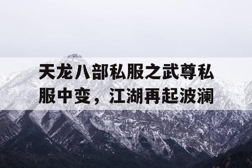 天龙八部私服之武尊私服中变,江湖再起波澜 天龙八部私服之武尊私服中变,江湖再起波澜