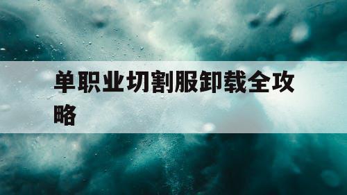 单职业切割服卸载全攻略 单职业切割服卸载全攻略